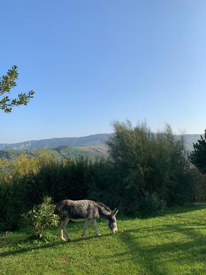 Relais B&B Betty Bike Sasso Feltrio ภายนอก รูปภาพ