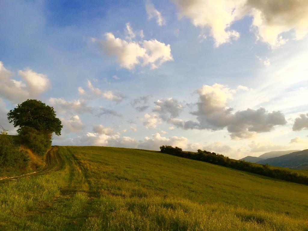 Relais B&B Betty Bike Sasso Feltrio ภายนอก รูปภาพ
